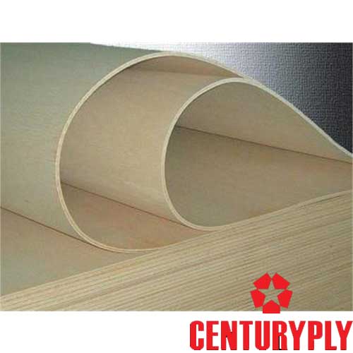 Plywood Products